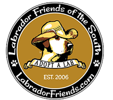 Labrador Friends Of The South